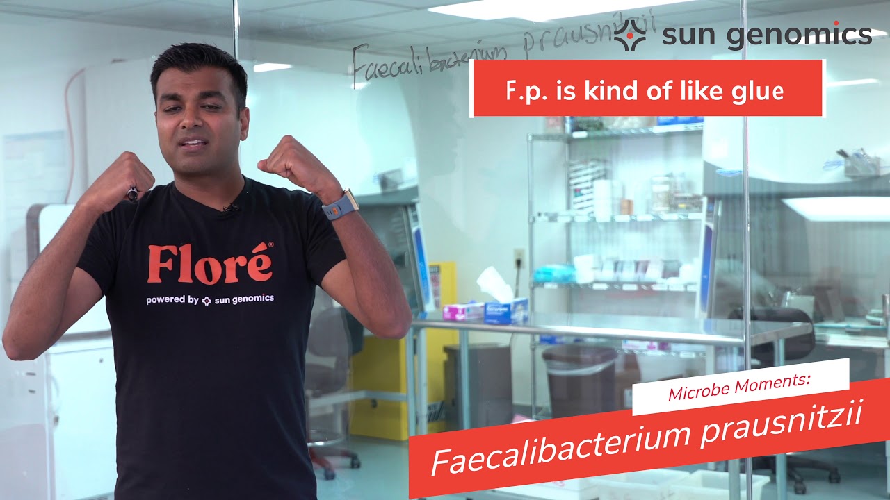 Microbe Moments: Faecalibacterium prausnitzii | Sun Genomics