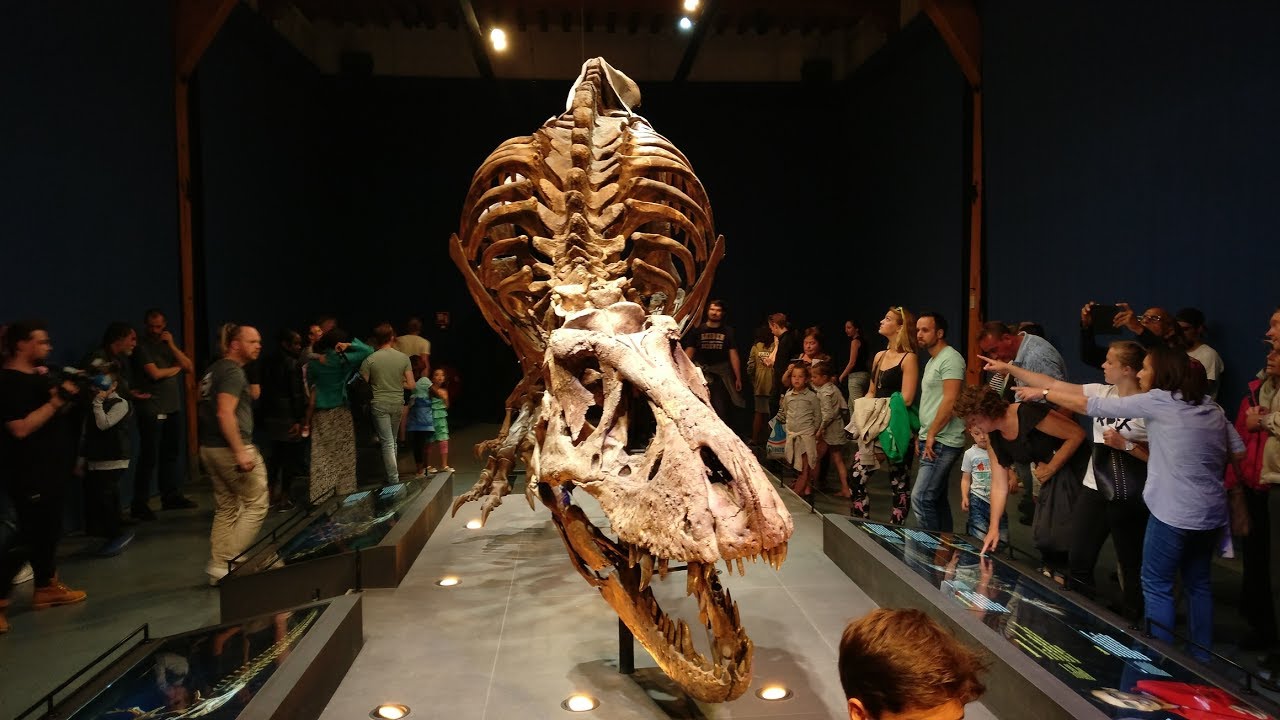 Leiden neemt afscheid van T.rex Trix
