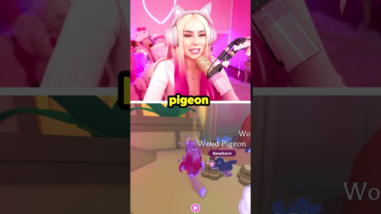 BUYING THE NEW SPRING PETS + SPRING PET ACCESSORIES! Roblox Adopt Me