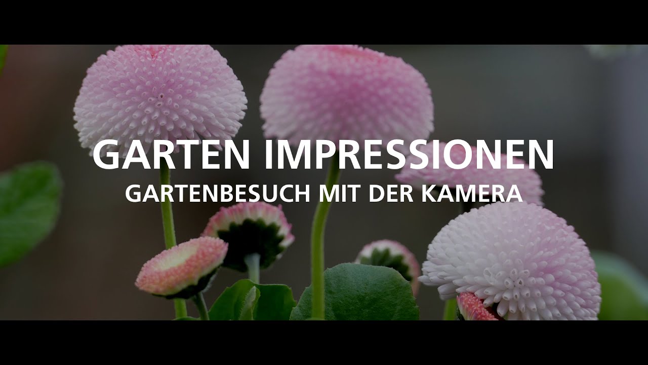 UNSER GARTEN