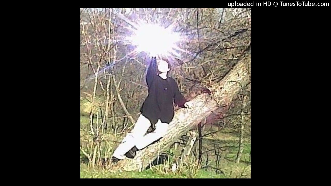 (FREE) ambient shed theory x joeyy type beat (prod felyx)