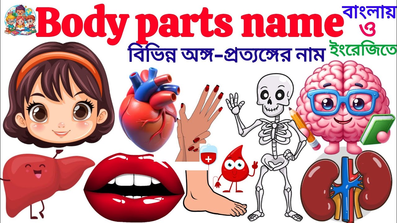 Learn Body Parts Name | 20 Body Parts Name IN English With Picture | Body Parts Name For Kids 