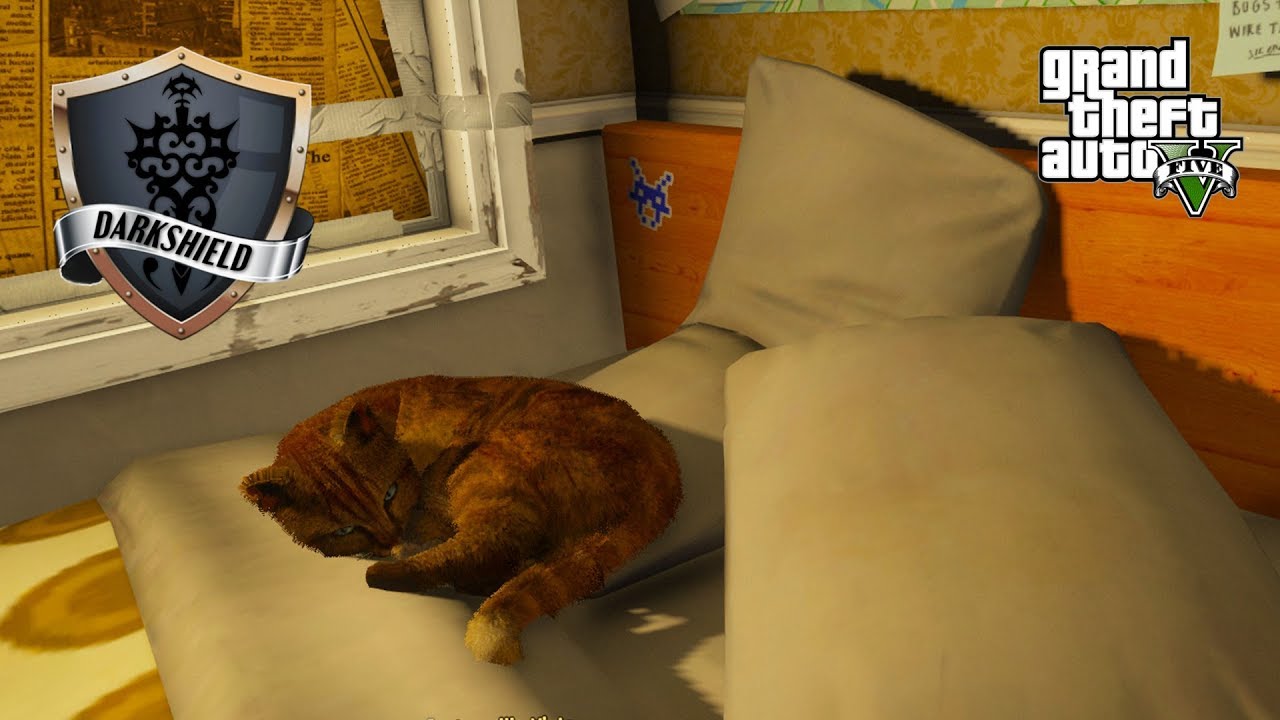 GTA 5 Roleplay - Darkshield - #37 - Too many Cats!