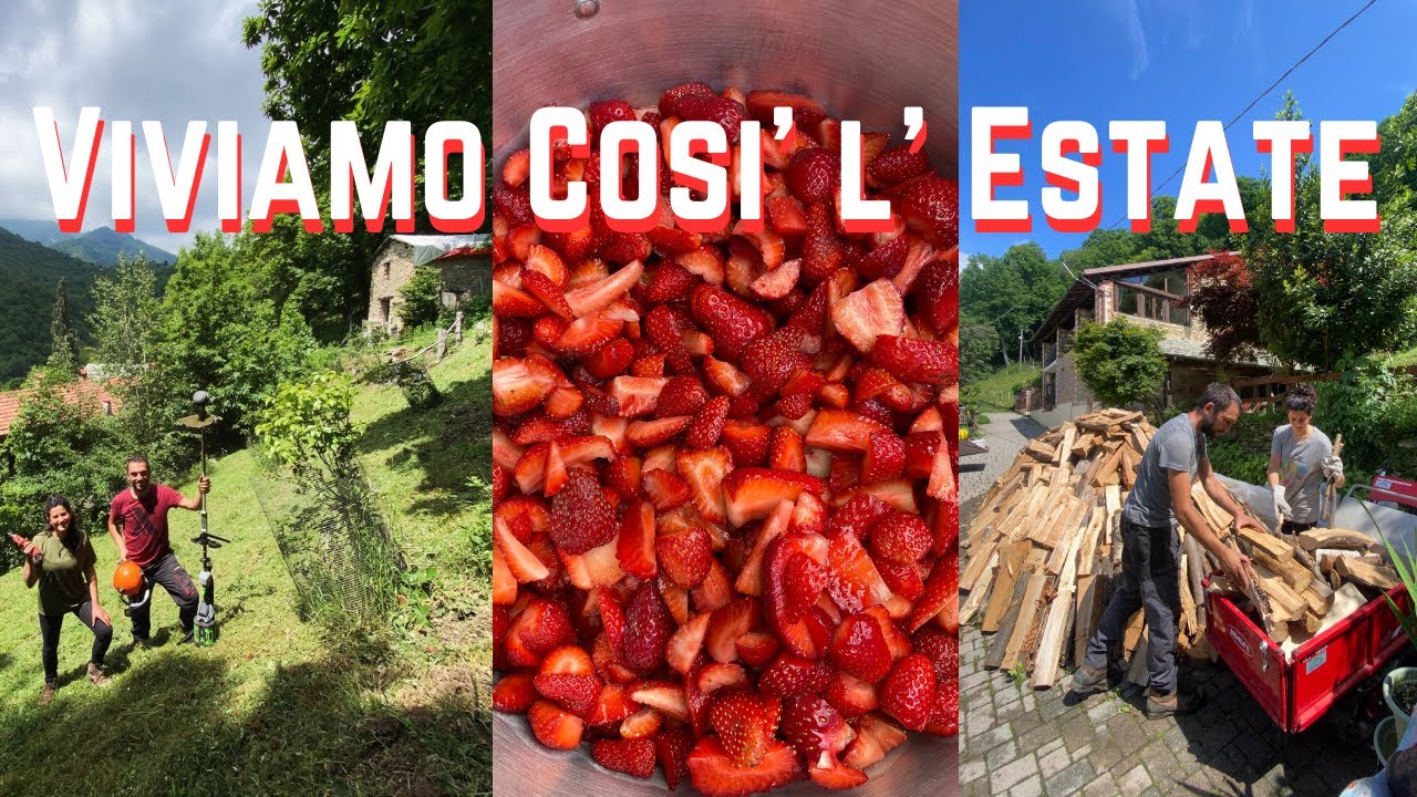 La nostra vita rurale in montagna d’estate - Ep. 559 -