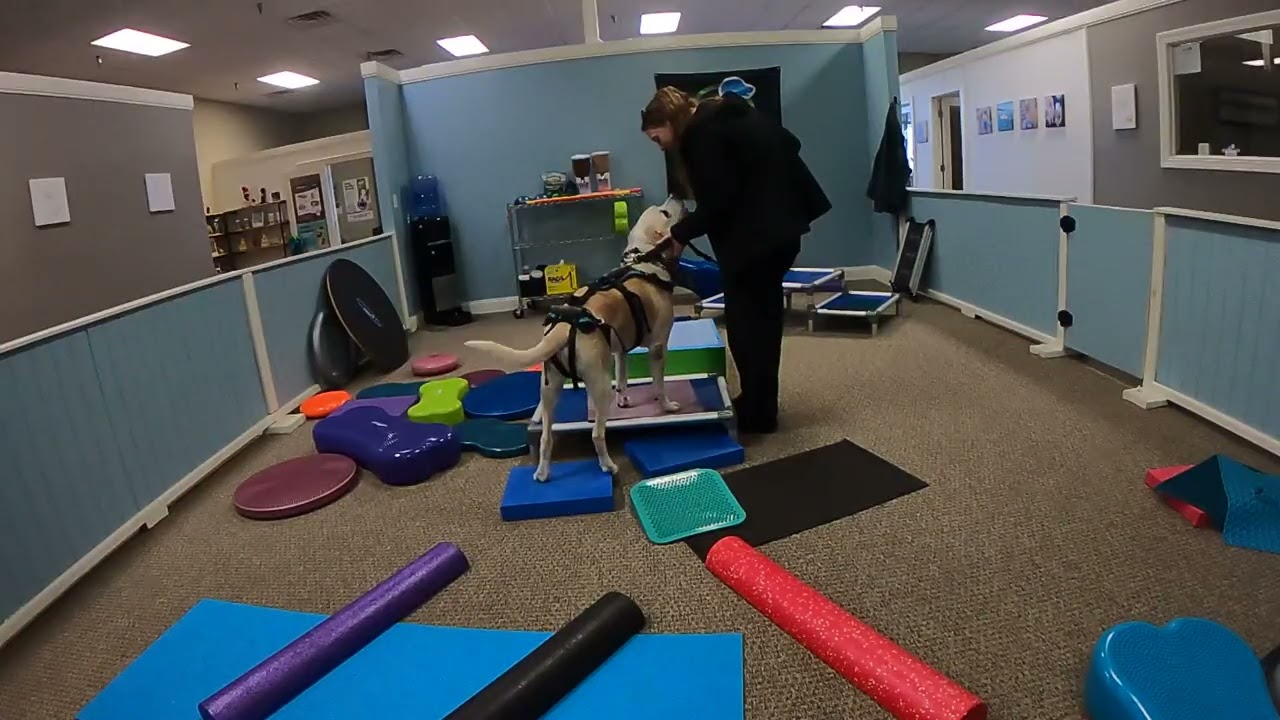 12 16 25 Draper obstacle course