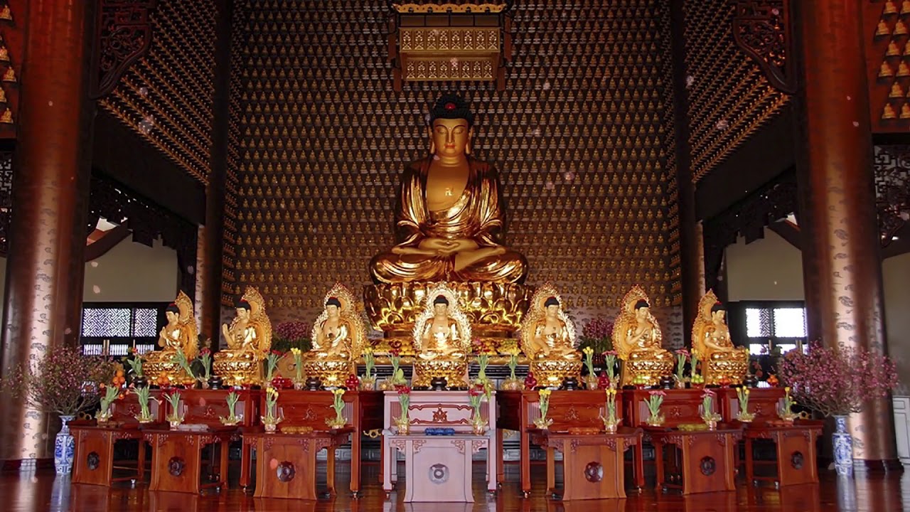 Kinh BỔN MÔN PHÁP HOA - Hòa Thượng Thích Trí Quảng Trì Tụng