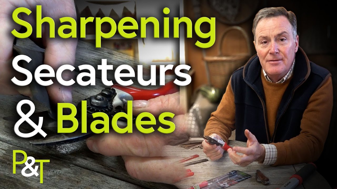 How to Sharpen your Secateurs and Garden Knives - Pots & Trowels