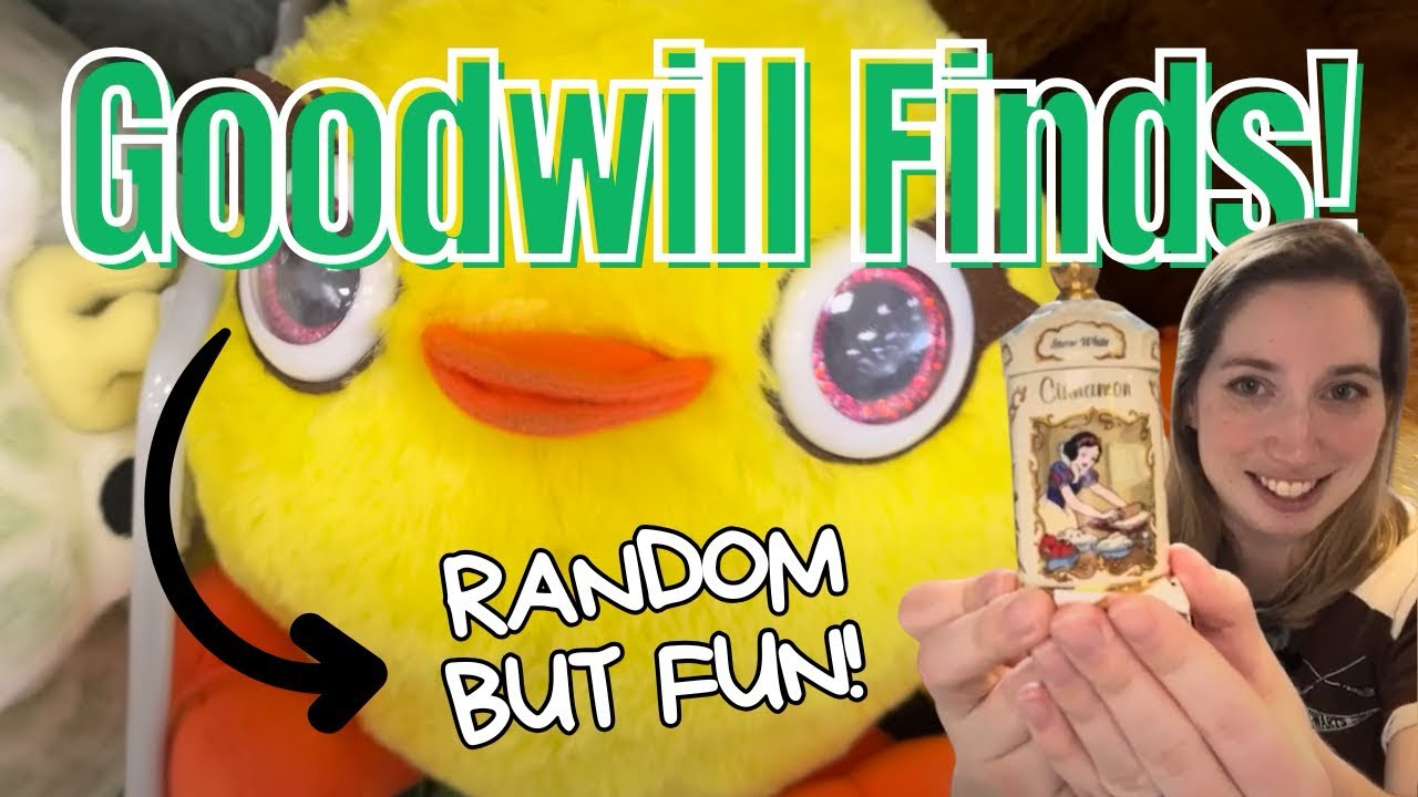 Thrift With Me at Goodwill | Random Finds I’m Weirdly Excited About