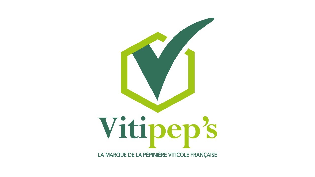 Vitipep's, marque label de la pépinière viticole française