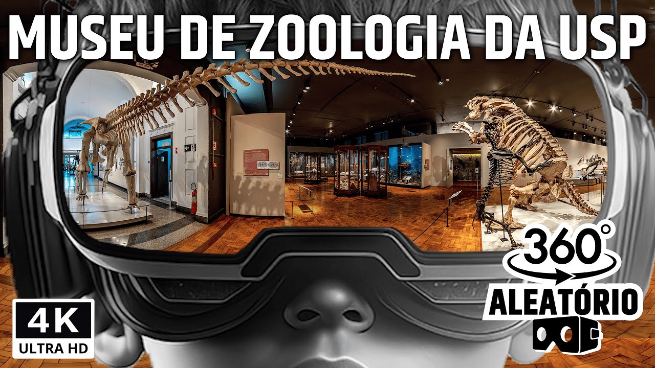 Uma visita guiada inovadora: Museu de Zoologia da USP em 360 graus