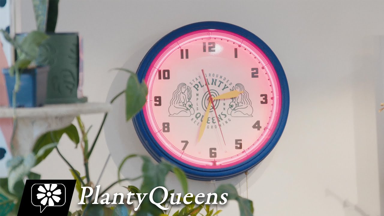 PlantyQueens