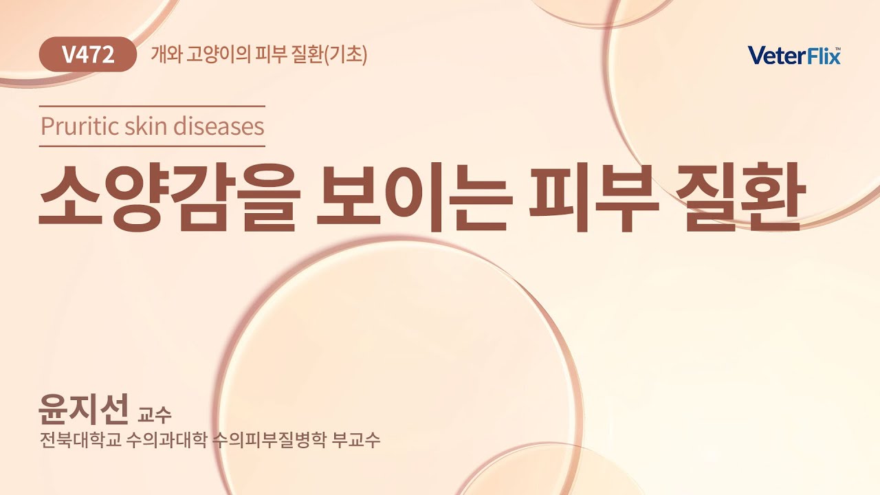 [베터플릭스]개와 고양이의 피부 질환(기초)_ 소양감을 보이는 피부 질환