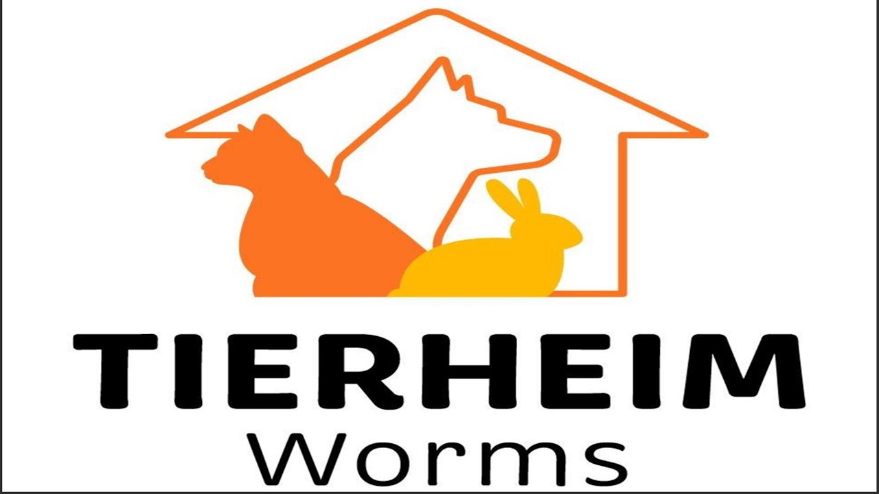 Wer hat ein neues Zuhause für mich? Tiere aus dem Wormser Tierheim