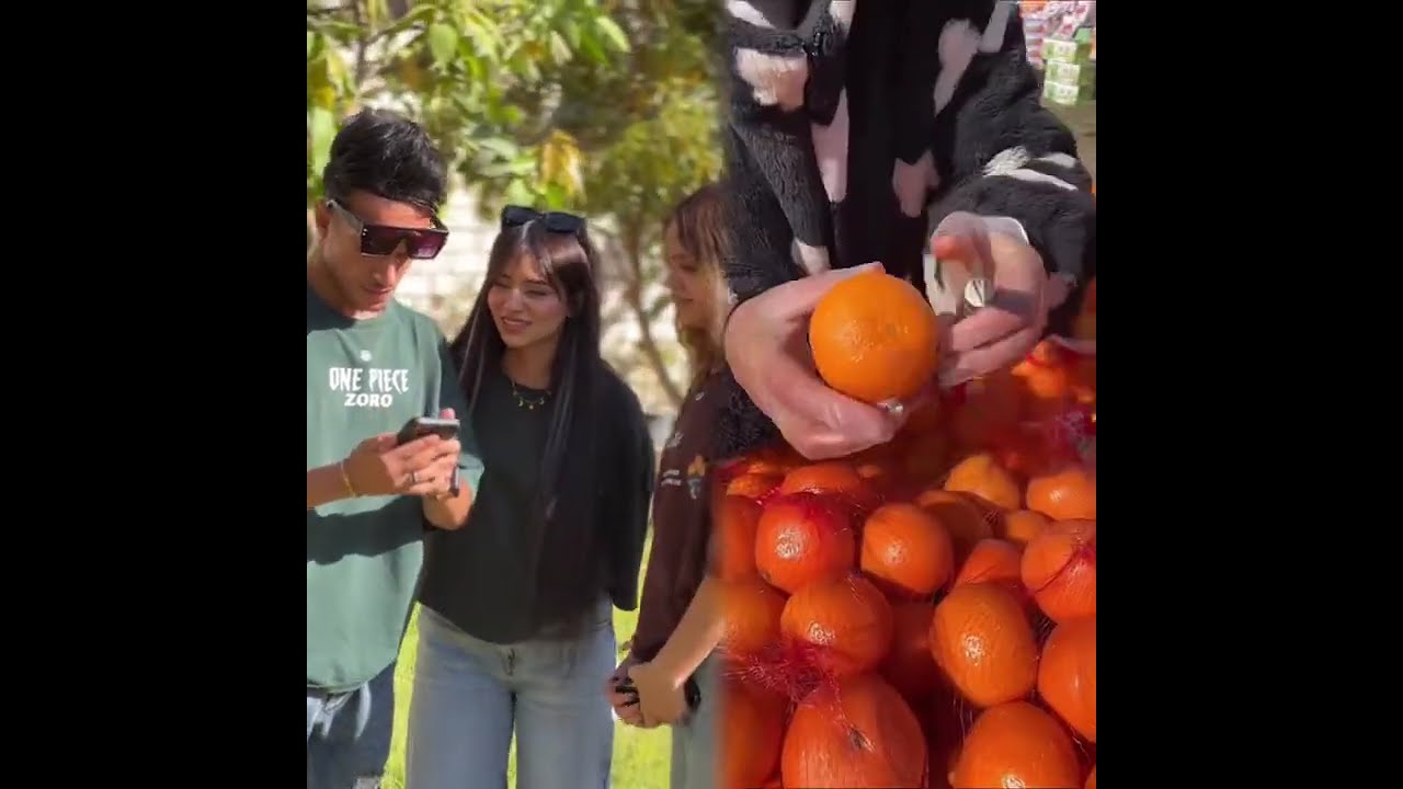 🤣👌👌👌2026 pov Must-Watch Crazy Clips Compilation #humor #fypシ #pov #fyp #foryou #funny 😍😜