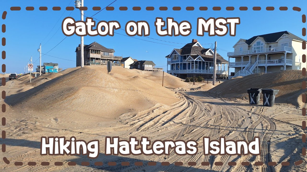 Gator on the Mountain to Sea Trail: Hiking Hatteras Island