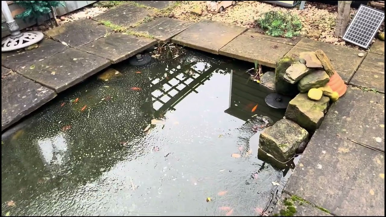 2026/#1. Mixed media Art & Gardening 