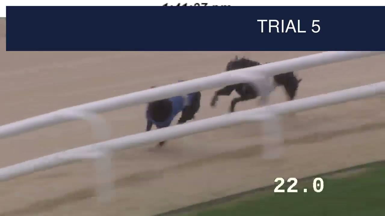 Dunstall Park Trials on 12th March 2026