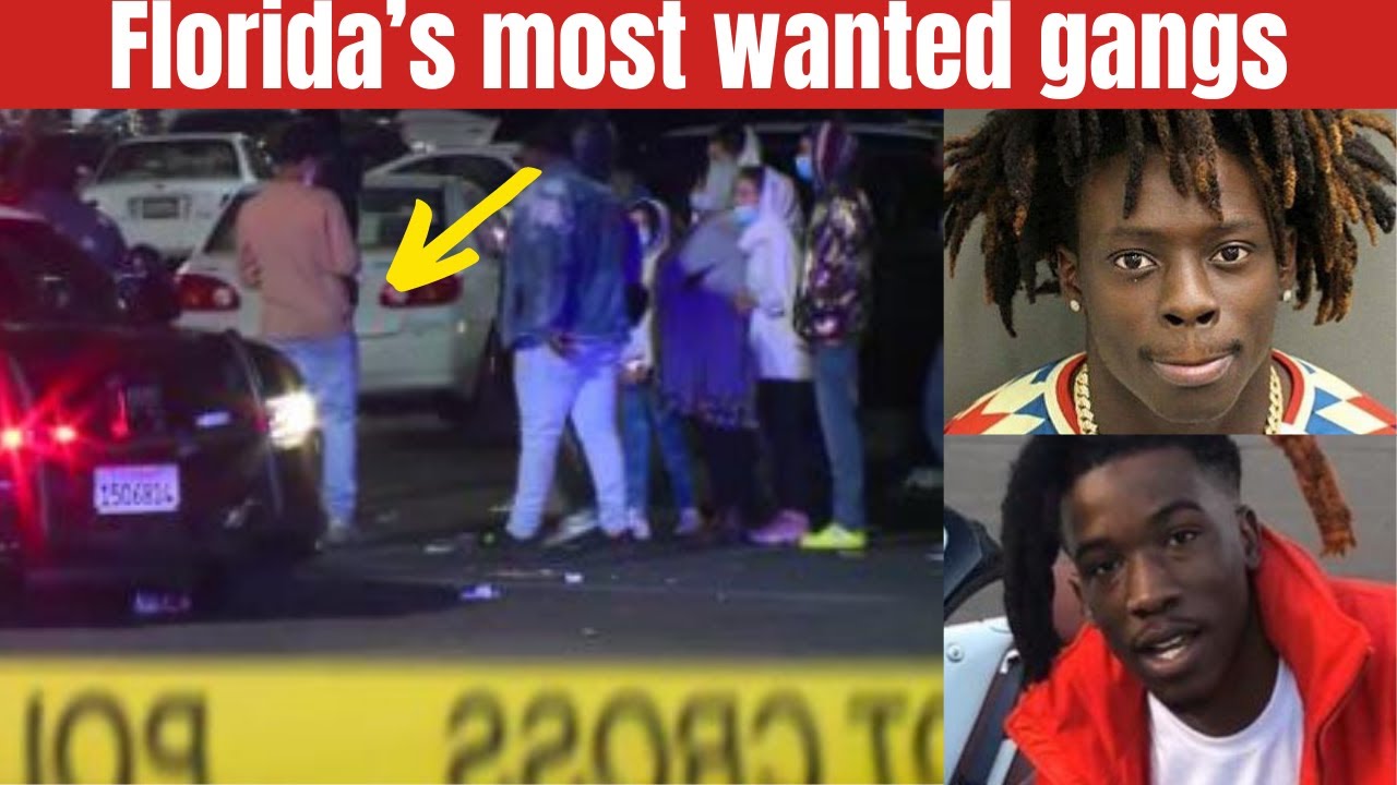 Самые разыскиваемые банды Флориды: AFNF 9lokknine против 438 Hotboii