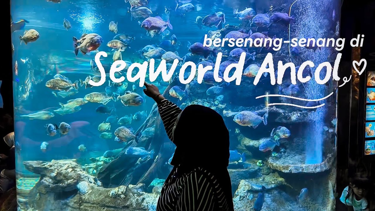 Liburan ke Seaworld Ancol | Bersenang-senang di Taman Impian Jaya Ancol