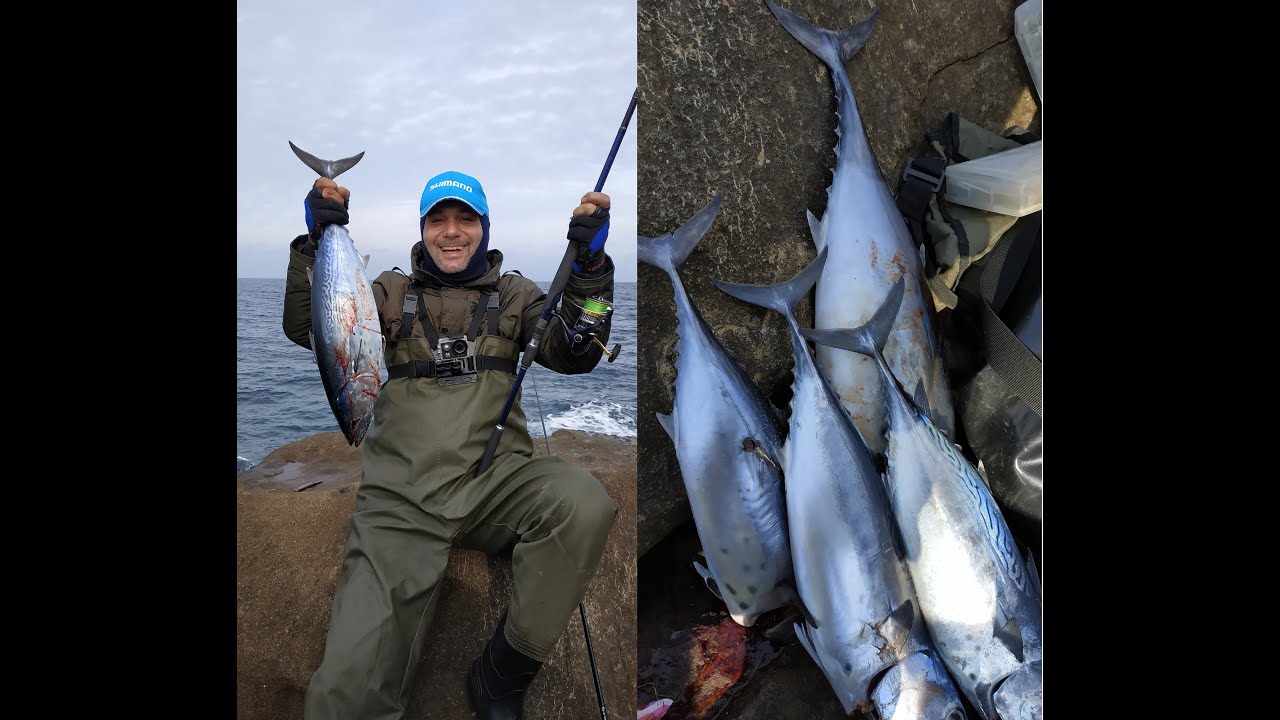 BOL AKSİYONLU Çanakkale Saroz Yazılı Orkinos Balık Avı. Balıkçılık. Albacore Fish Hunter
