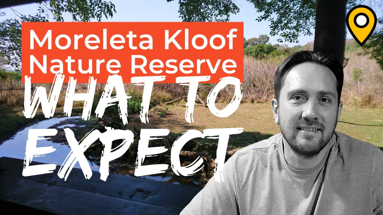 8.5km Hike at the Moreleta Kloof Nature Reserve | What to Expect...#hiking #hikingadventures