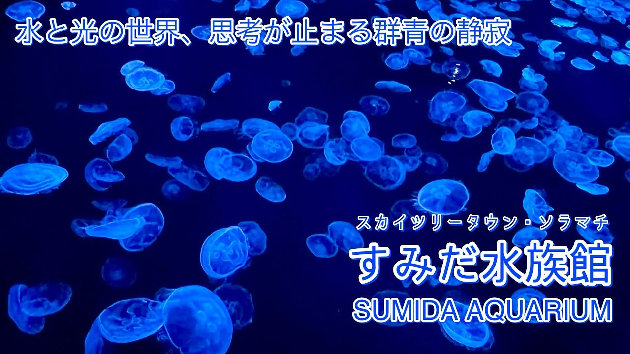 心に響く、水の浄化【すみだ水族館】-SUMIDA AQUARIUM-