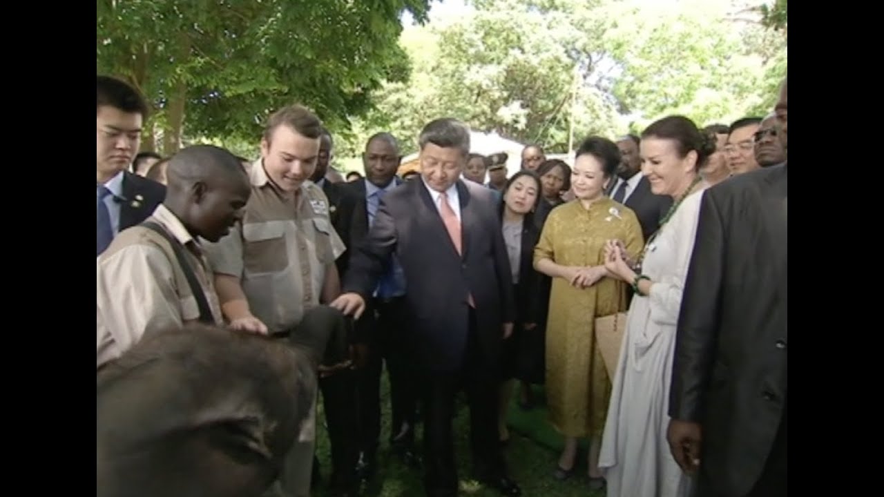 Chinese President Visits Wildlife Protection Base in Zimbabwe