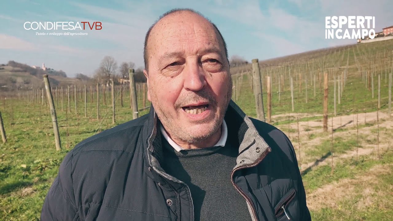 Fitofarmaci: le novità 2021