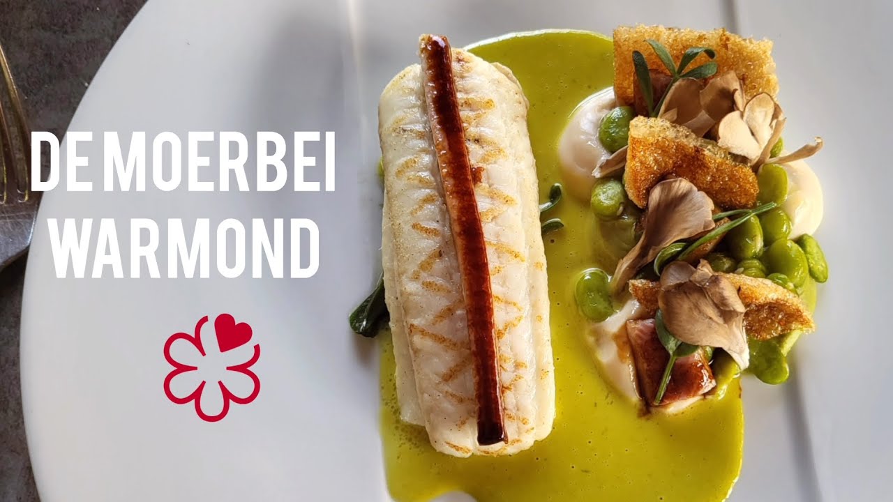 [6 min] Warmond - De Moerbei, restauracja z gwiazdką Michelin od 2009 roku. Ponadczasowa elegancja.