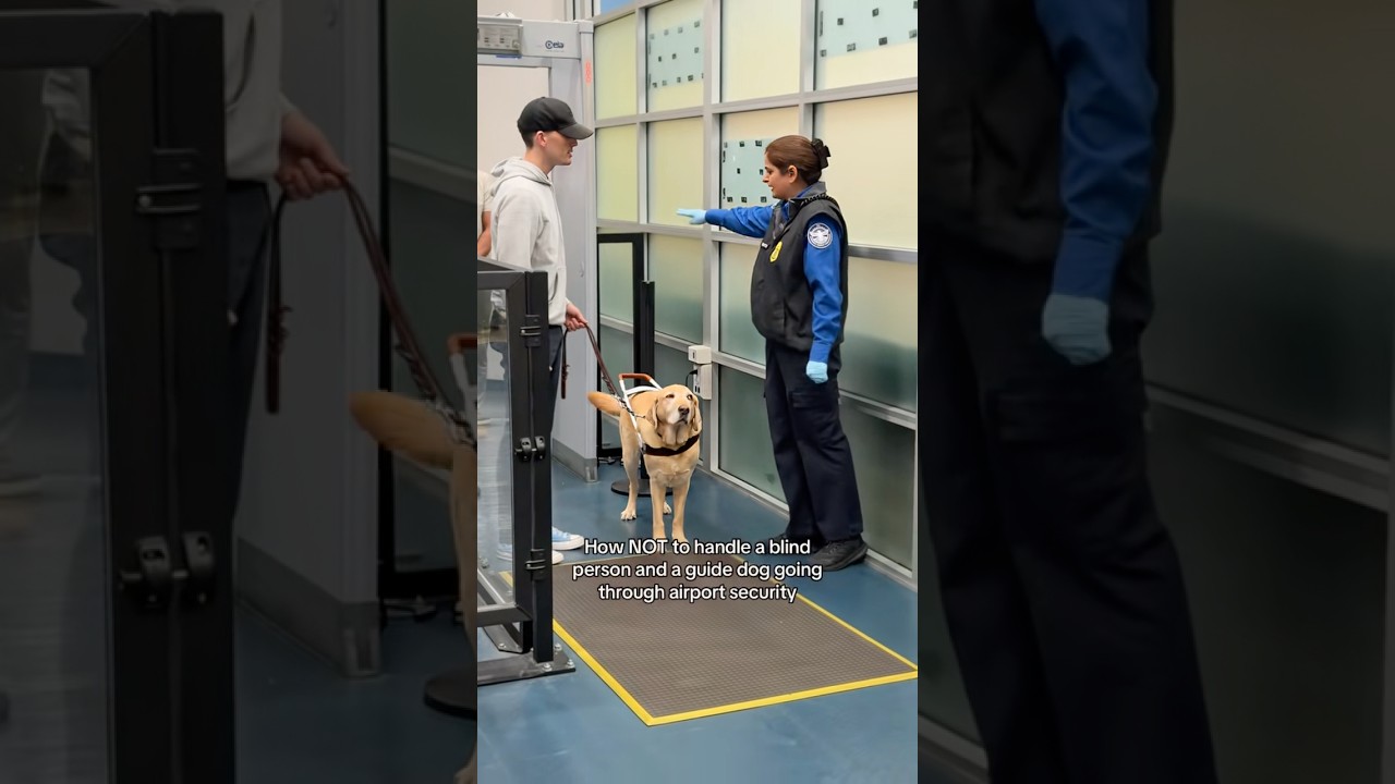 TSA agent does not know how to handle blind people #shorts
