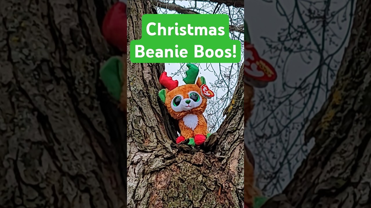 TinselToes the new reindeer Beanie Boo 🎄❤️ #christmas #ty #beanieboos