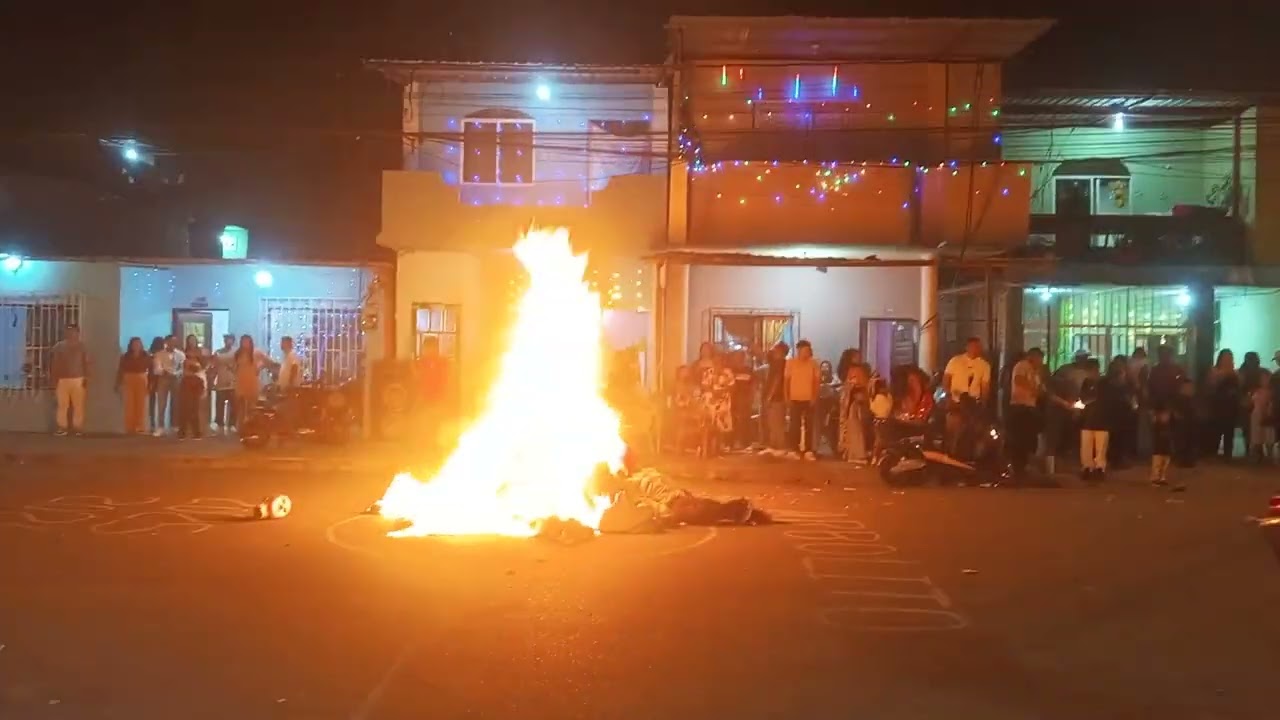 Feliz año 🎆 nuevo2026