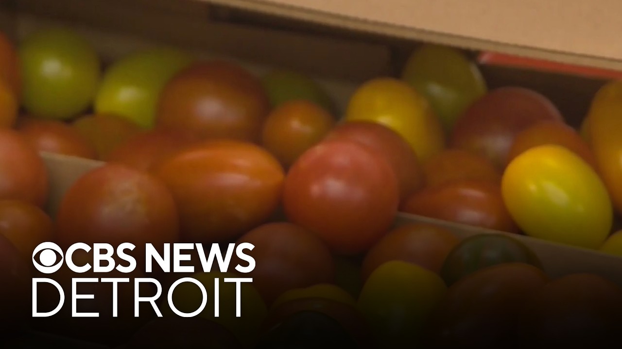 Tomatoes among hardest hit for grocery prices
