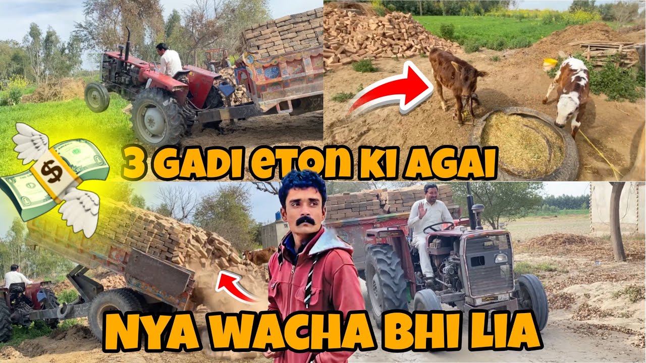 3 gadi eton ki again. نیا وچھا بھی لے آیا ہوں💐🥰