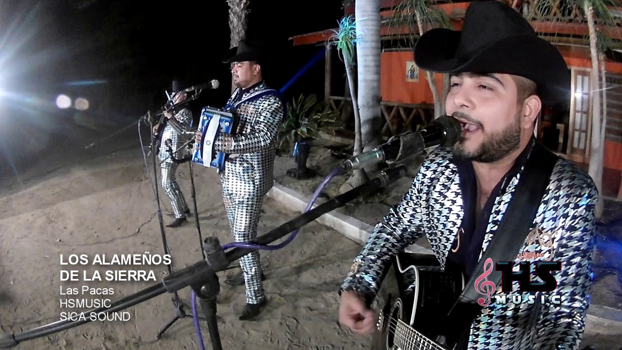 Las Pacas - Alameños De La Sierra (En Vivo 2018)