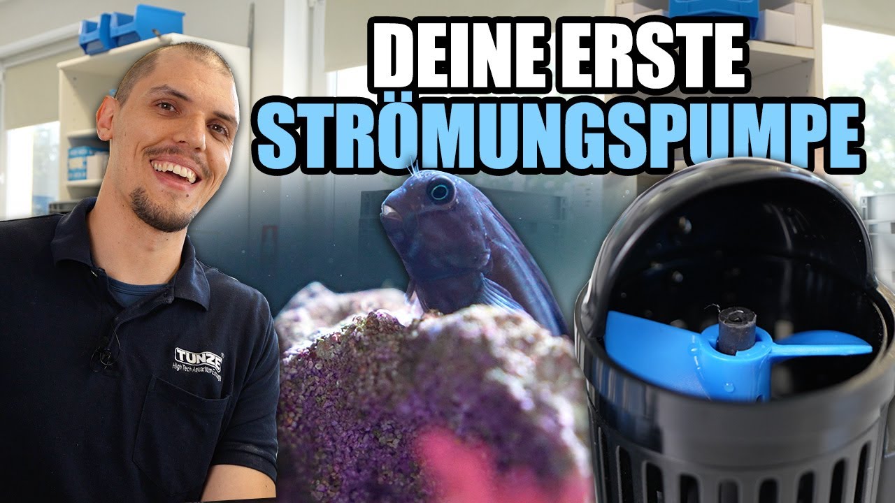 Deine erste Strömungspumpe? - Was man beachten muss!