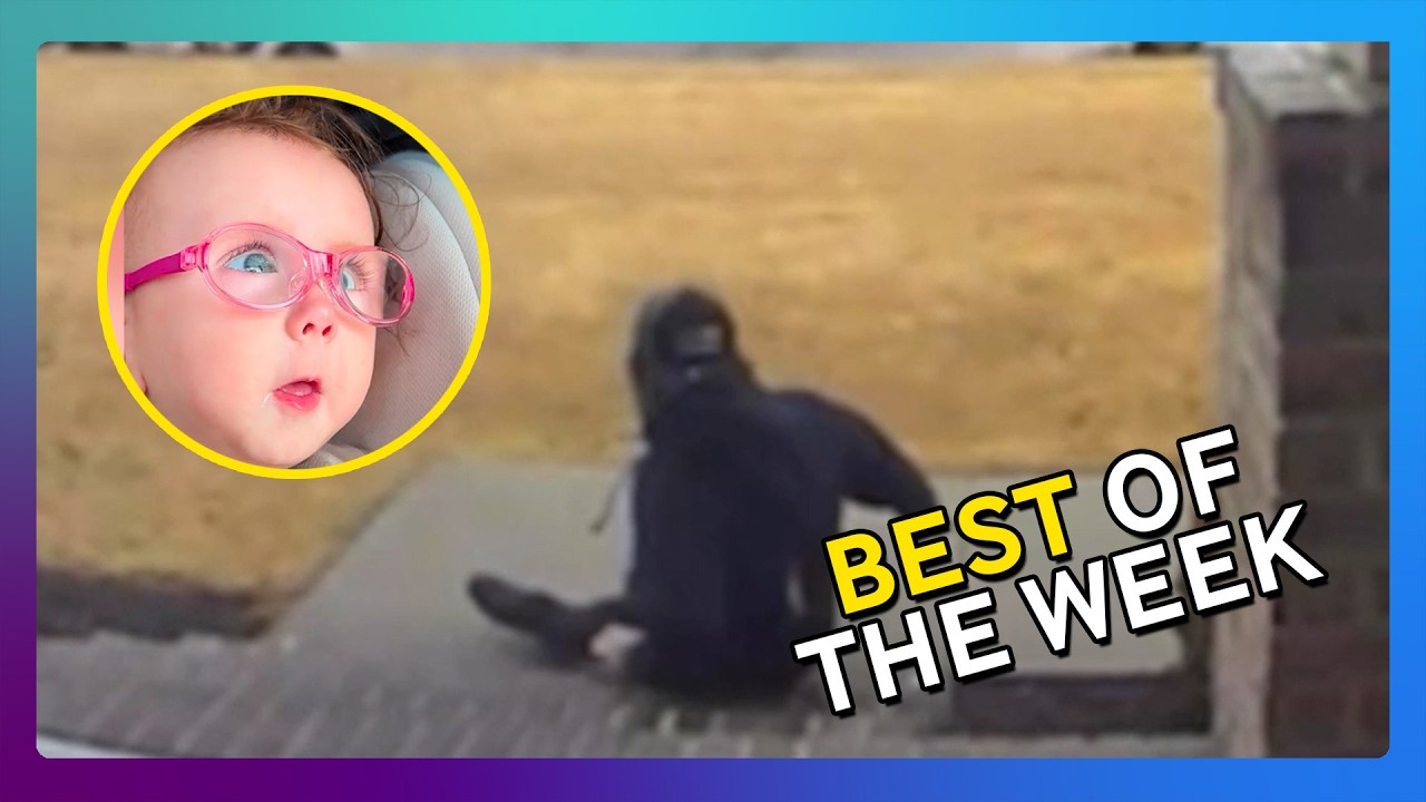 The Best Videos On The Internet This week