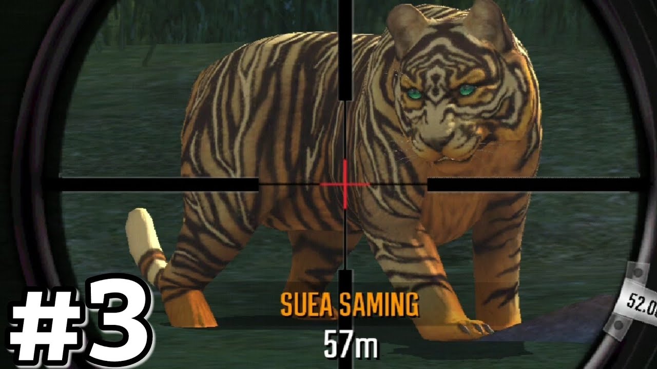 Killing Suea The Tiger! Deer Hunter 2019 Ep3