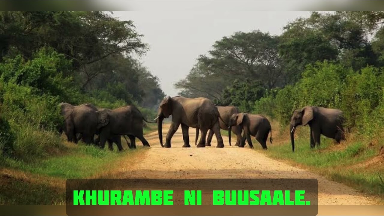 Uganda National Anthem in Lumasaba by Lumasaba Hymns Choir