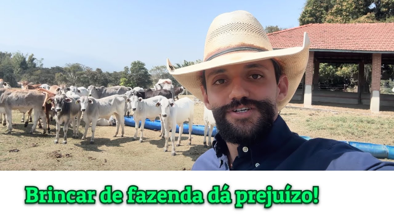 Manual completo para iniciar na pecuária (evite os erros que eu cometi)