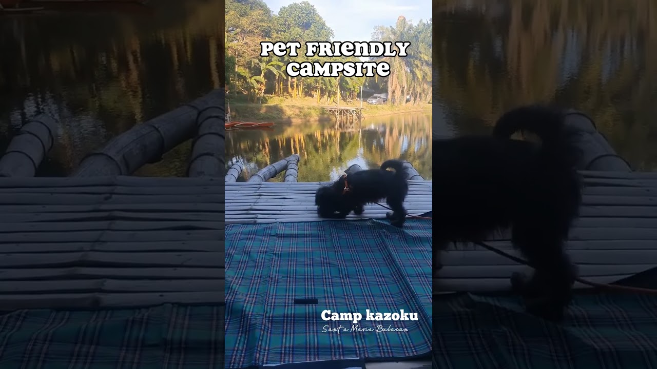 Pet friendly Campsite in Bulacan #camping #petfriendly #petlover #pet #santamaria  #youtubeshorts