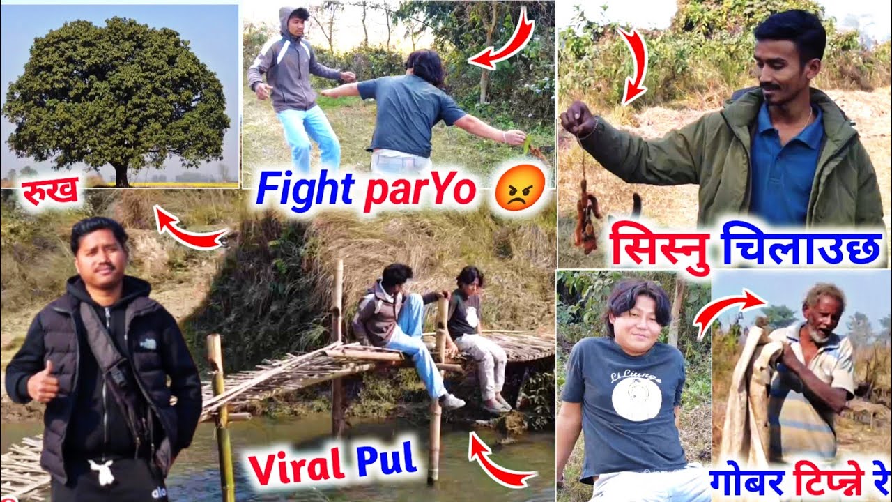 Hunting Bird 🕊️ || सिस्नु भेटियो 😭 || Viral Pul || Fight ParYo 😡 || आज भयो एस्तो 🙄 हेर्नुस्  