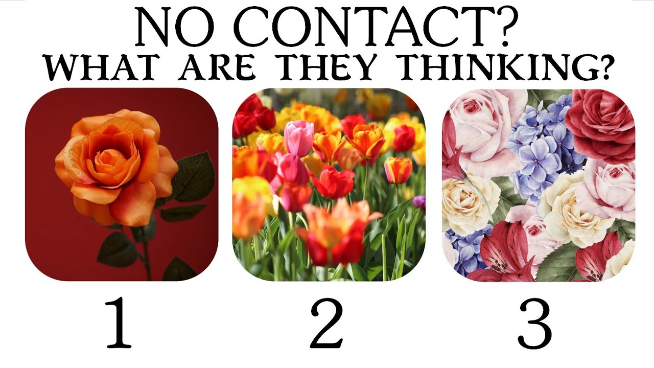 ✨ NO CONTACT 🥺 WHAT ARE THEY THINKING ~ PICK A CARD (TIMELESS TAROT READING)