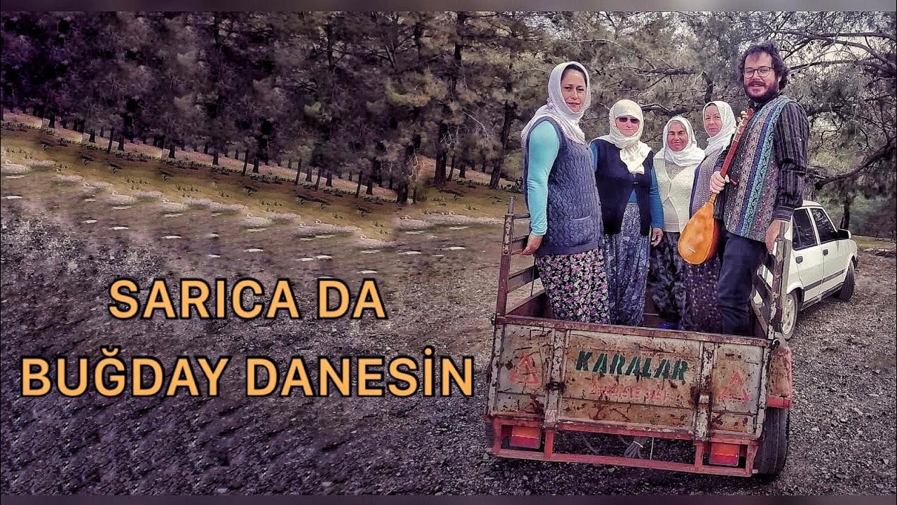 SARICA DA BUĞDAY DANESİN - Emre Dayıoğlu
