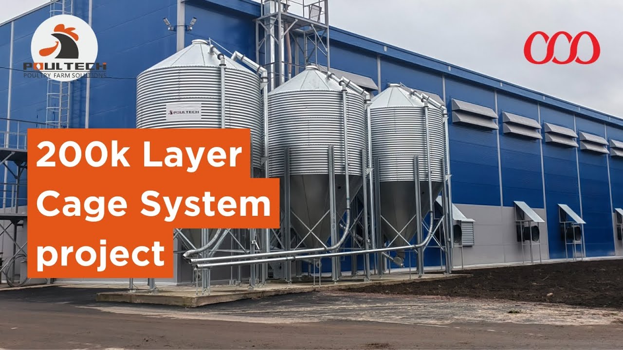 POUL TECH | 200,000 Bird Layer Cage System in Russia