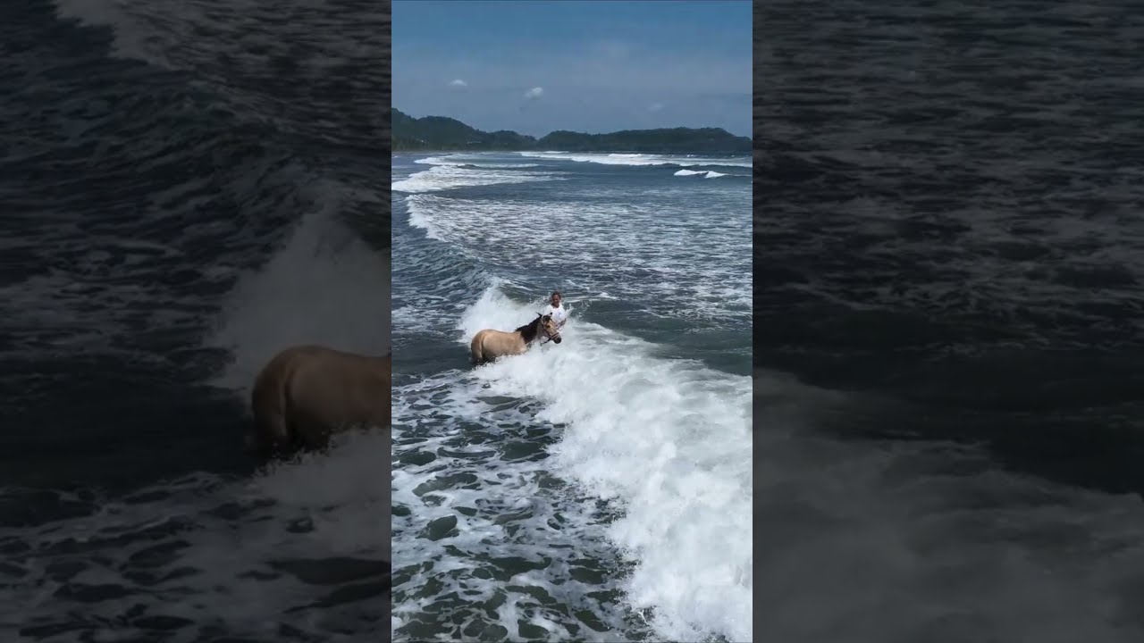 MOUNA IM MEER