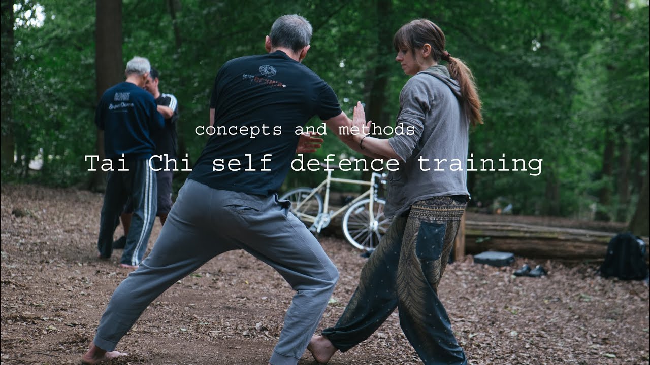 Tai chi self defence: concepts and methods