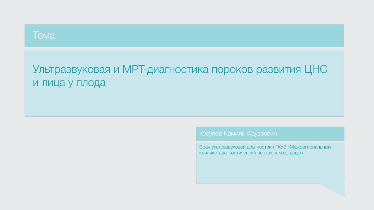 Лекция 