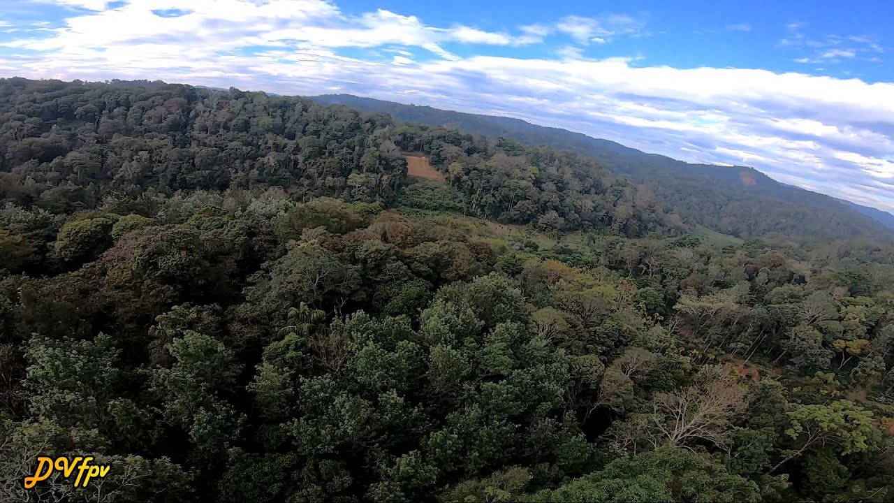Coorg Coffee Plantations - FPV drone video - India