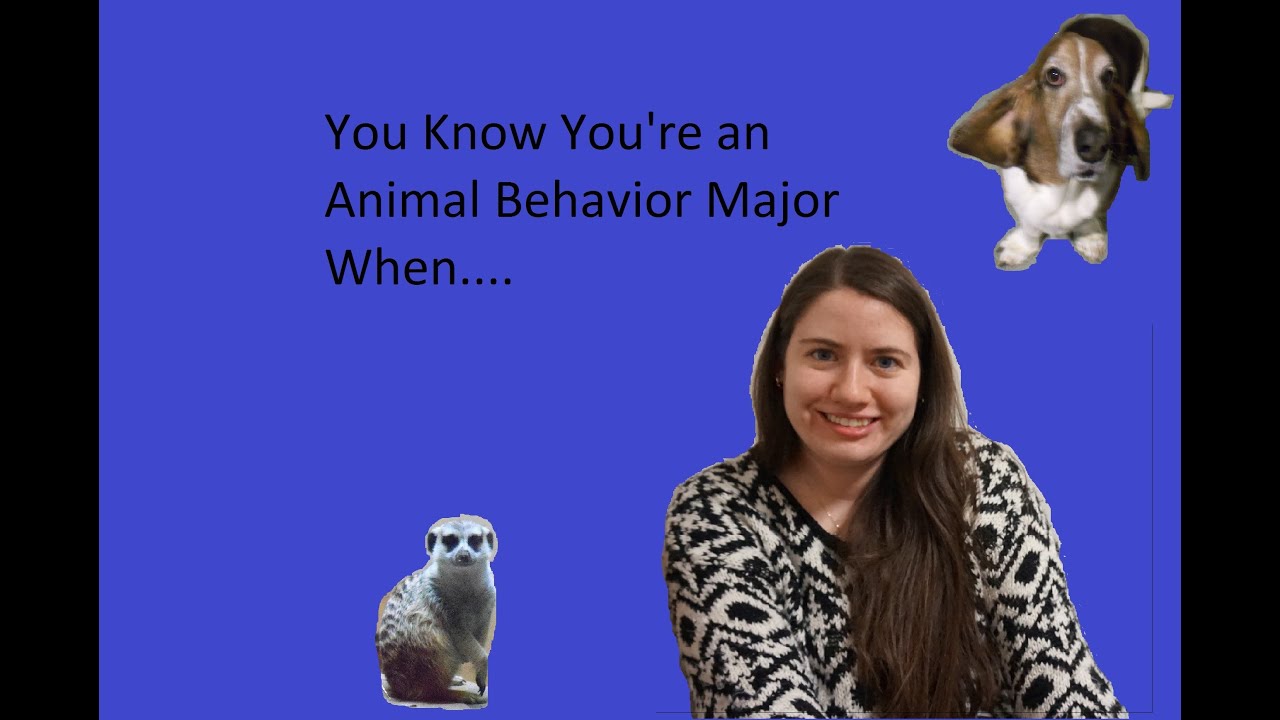 You Know You're an Animal Behavior Major When